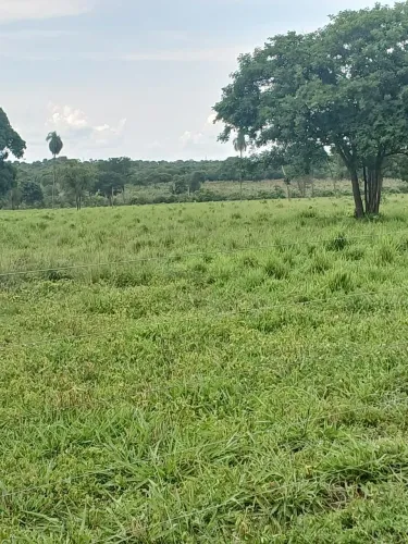 Vendo!!! fazendinha de 100 hectares na região da cidade de Livramento MT
