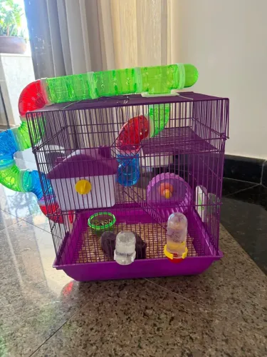 Gaiola com acessórios + 2 hamsters machos