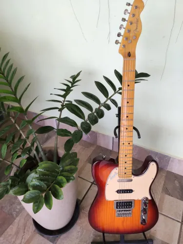 Luthier de guitarra, baixo, cavaquinho e violão
