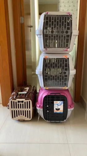 Caixas de Transporte Pet Seminovas (usadas 1 vez) - Cães e Gatos