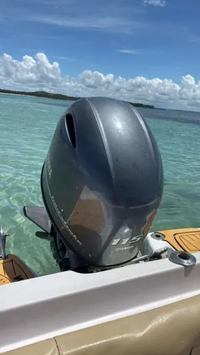 YAMAHA 115HP 4TEMPOS- seminovo <br>