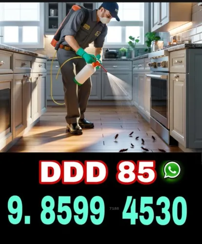 Dedetizaçao Completa - Orçamento Via WhatsApp