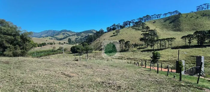 Terreno à venda, 5000 m² por R$ 600.000,00 - Quilombo - São Bento do Sapucaí/SP