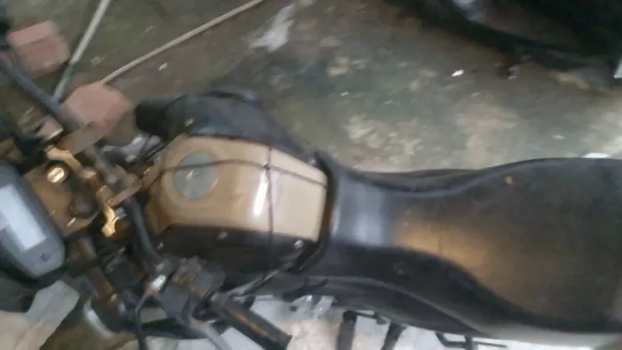 Vende se cros com canela quebrada