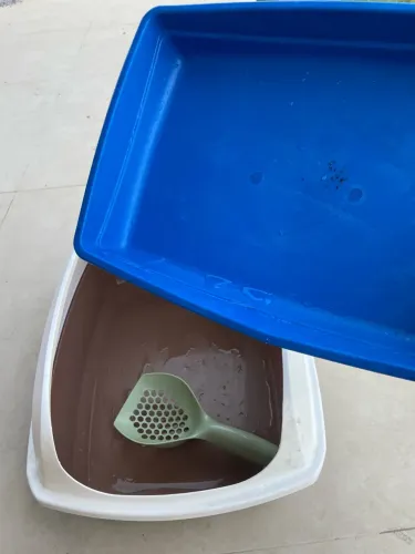 Caixa de areia de gato