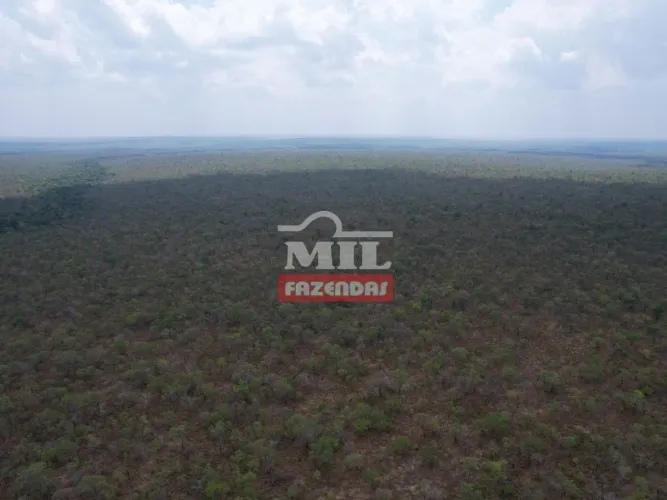 Arrendamento Agrícola - Centro Norte Tocantins. 40 km de Guaraí - TO. (Margem BR-153)