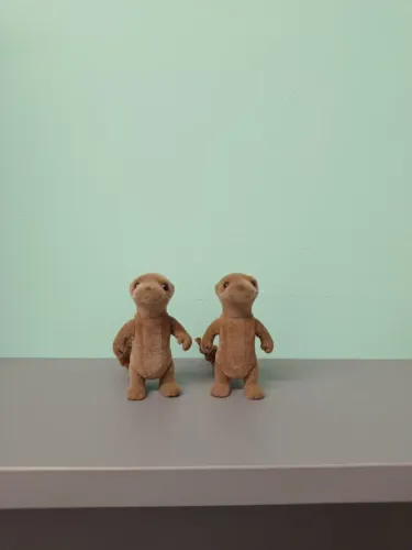 Dupla de lontras vintages crianças sylvanian families