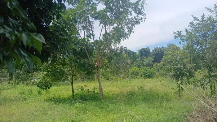 Vendo terreno na zona rural sudeste 25x100
