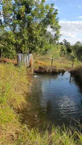 Ágio sítio 2 hectares ( 20 mil metros )