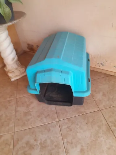 Casinha de Cachorro Mega Fácil New Alvorada Azul