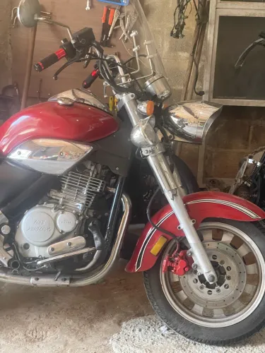 Moto Amazonas costonizada 