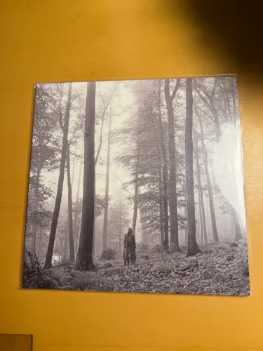 Vinil duplo folklore ?in the trees? - taylor swift 