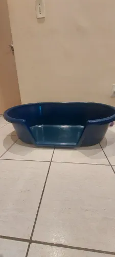 Caminha cachorro