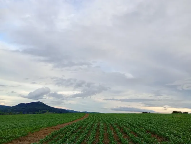 Terreno de 30 hectares à venda
