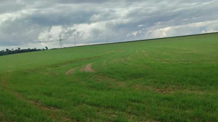 Sitio venda 