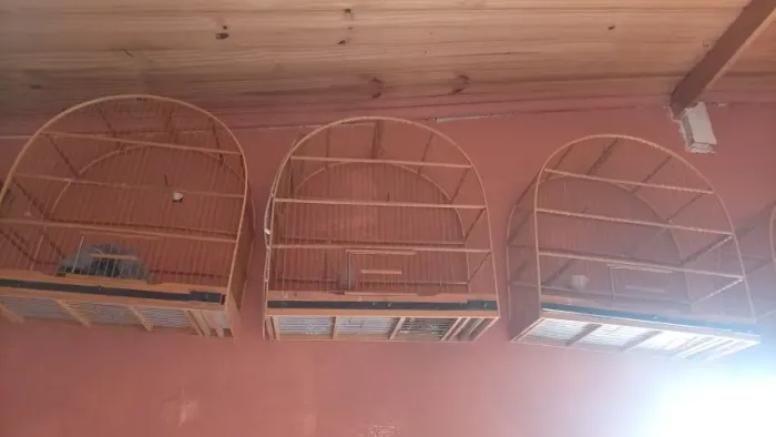Gaiolas