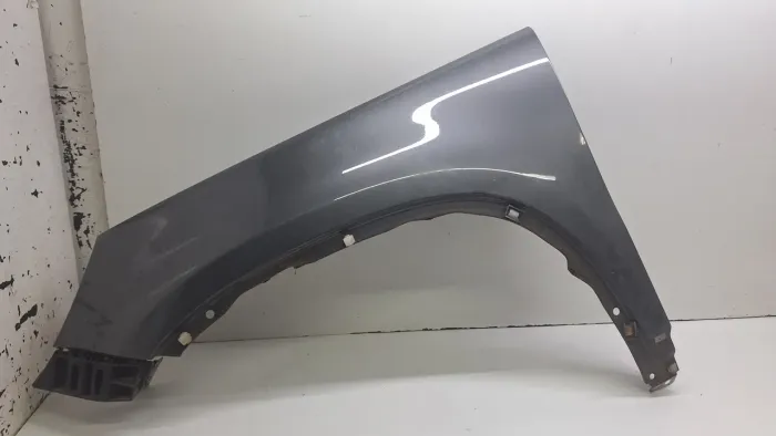 Paralama Dianteiro Lado Esquerdo Vw Tiguan Tsi 2012