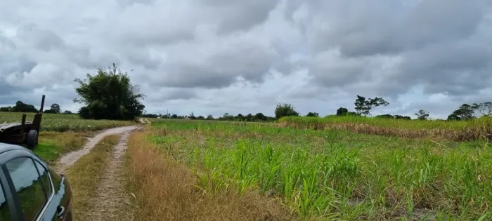 ÁREA DE 269.028,54 M² NA RJ-240 (ESTRADA DO PORTO DO AÇU), EM CAMPO DA PRAI