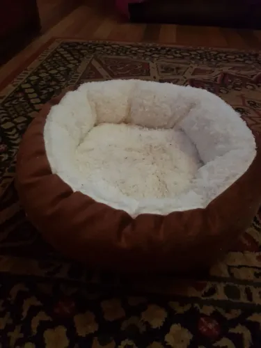 Cama Pet
