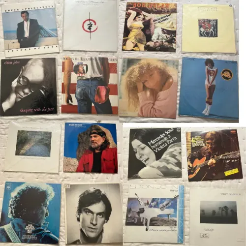 35 Discos de Vinil - Rock Clássico, MPB e Folk (Bruce Springsteen, Dylan, Neil Young)