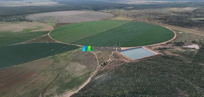 FAZENDA À VENDA - 4.660 HECTARES - BURITIZEIRO (MG)