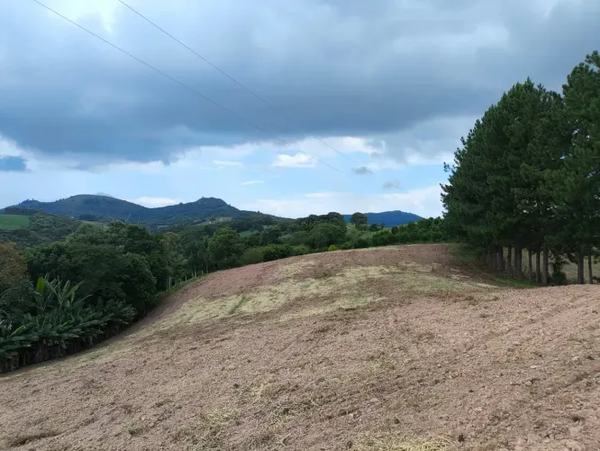 Chácara Campo Largo-Bateias 44.712m², 27Km St Felicidade, casa, tanque, lavoura.