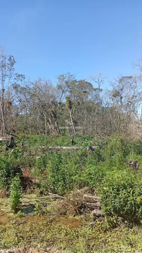 Terrenos à Venda no JARDIM VERDES MARES Itapoá/SC