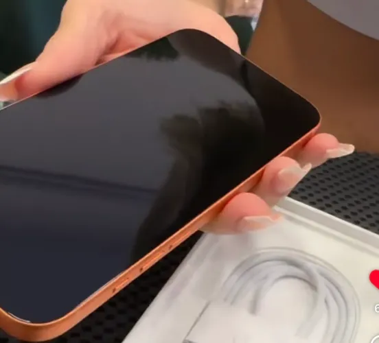 iPhone 17 pro Max 5 meses de uso