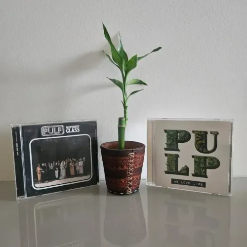 Pulp - Different Class & We Love Life