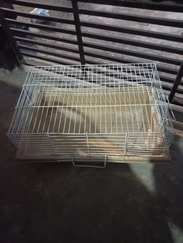 Gaiola para coelhos