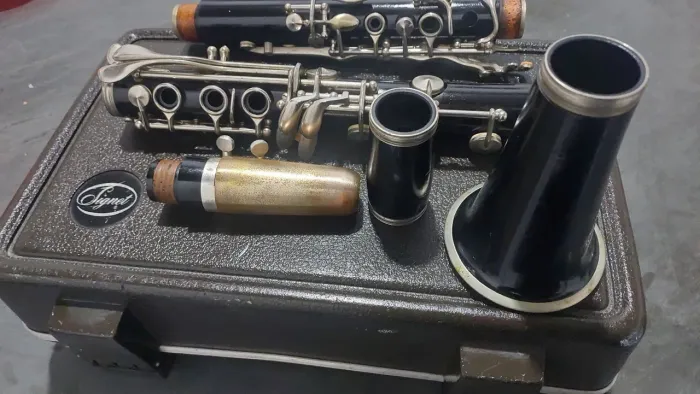 Clarineta selmer sgnet 100 de madeira grenatilhada