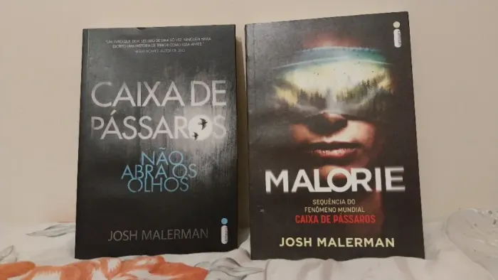 A Caixa de Pássaros, Malorie e Piano Vermelho