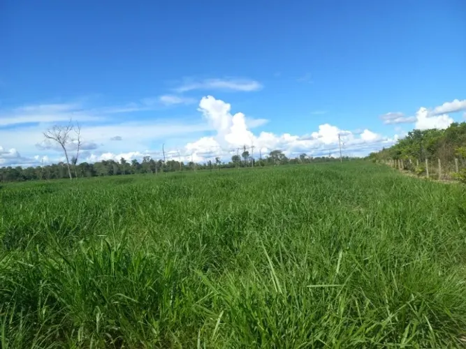 Fazenda em Gaúcha do Norte MT- 60KM, Área de 305 hc.