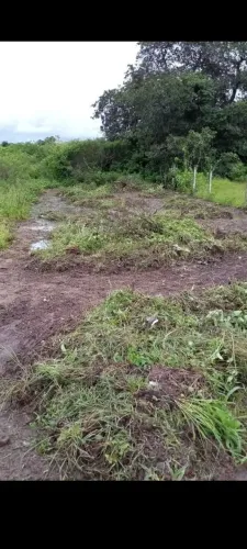 Lote no bairro taquara