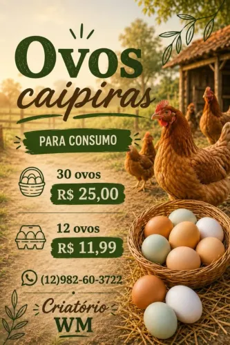 Ovos caipiras 