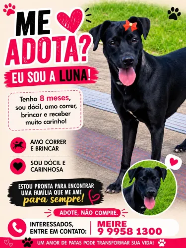 Preta linda