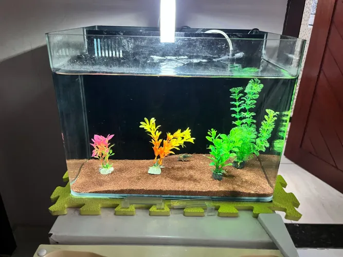Aquário vidro curvo oceantech