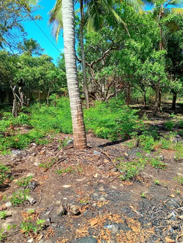 Terreno no porto do Jussara na Raposa