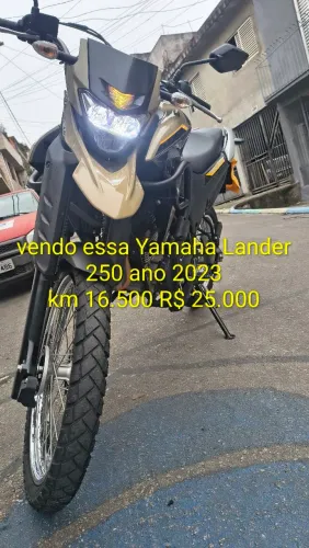 Lander 2023