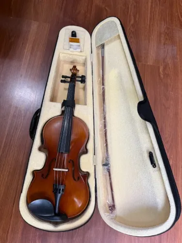 violino 4/4 eletrico e acustico natural prosperar madeira spruce comp estojo termico arco 