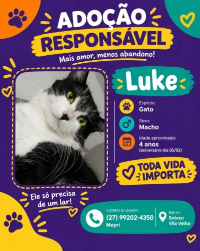 Doa-se gato