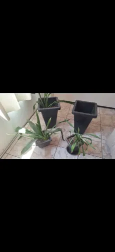 Kit 4 Vasos Grandes Preto Cachepot Quadrado Com Plantas -