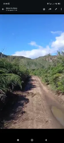 Hectares de terra no sítio do Capão do mel