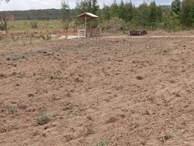 Área Particular de 5.000 m² 100% plana...Permuta por gado /Ou entrada mais 60 prestações.