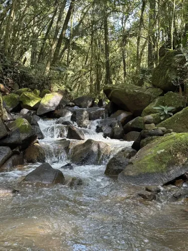 Fazenda/Sítio/Chácara para venda tem 27500 metros quadrados com 5 quartos