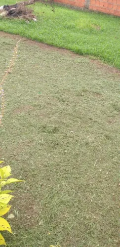 Serviços de rossagem