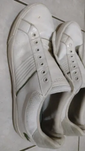 Tênis Lacoste Branco N42