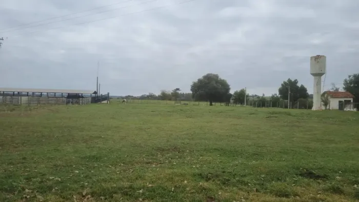 Oportunidade FAZENDA COM 215 ALQUEIRES REGIAO DE DRACENA- SP