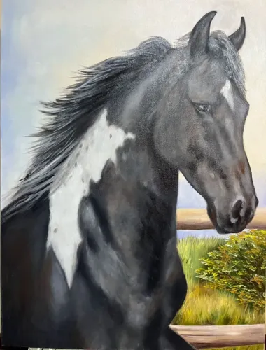 Quadro