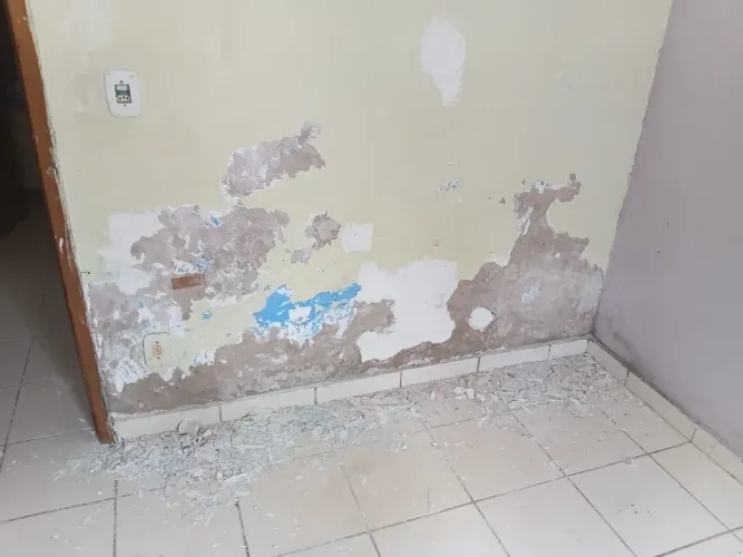 pintor montador de móveis e outros mais 